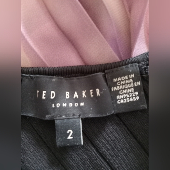 Ted Baker Loulous Cross Front Pleated Dress with Knit Bodice Coral Size 2 - Picture 12 of 15